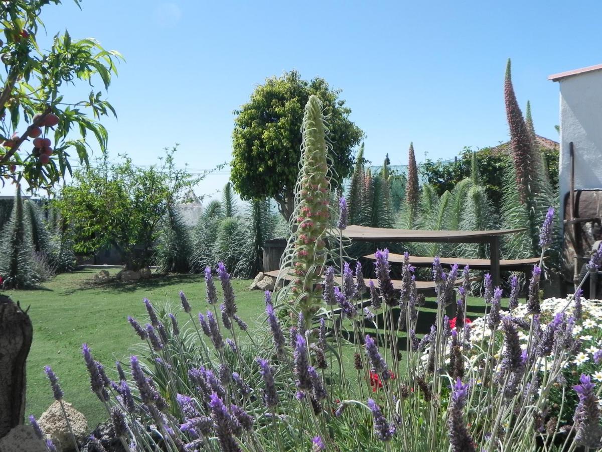 Casa Irma, Great Sea And Mountains Views, Rural House Villa Costa Adeje  Exterior photo